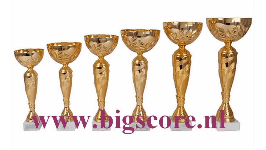 AK6011 Beker Goud